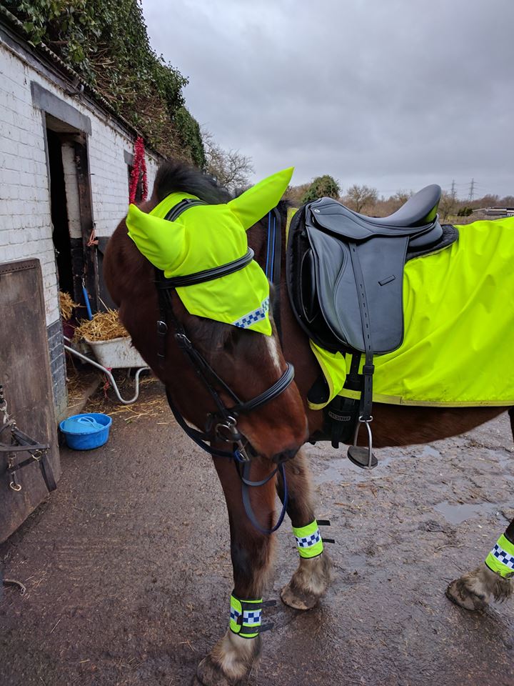 Hi vis!